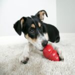 Kong: Classic harang - Image 2