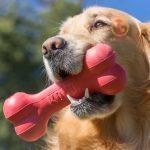 KONG Classic Goodie Bone