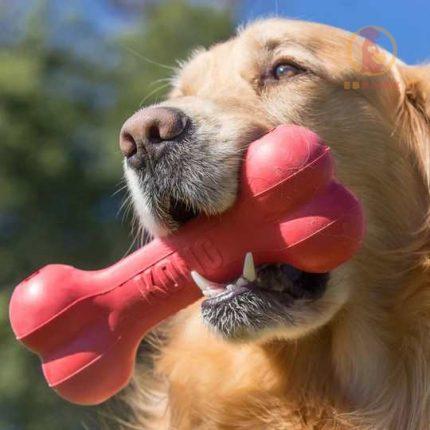 KONG Classic Goodie Bone