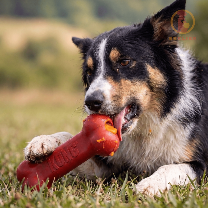 KONG Classic Goodie Bone - Image 2