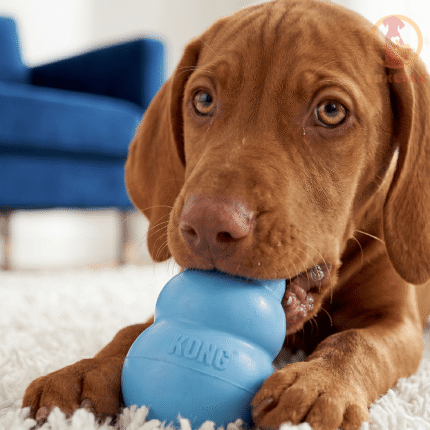 KONG classic harang puppy (M)