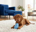 KONG classic harang puppy (M) - Image 2