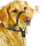 Trixie Top Trainer Szájszíj - Image 2