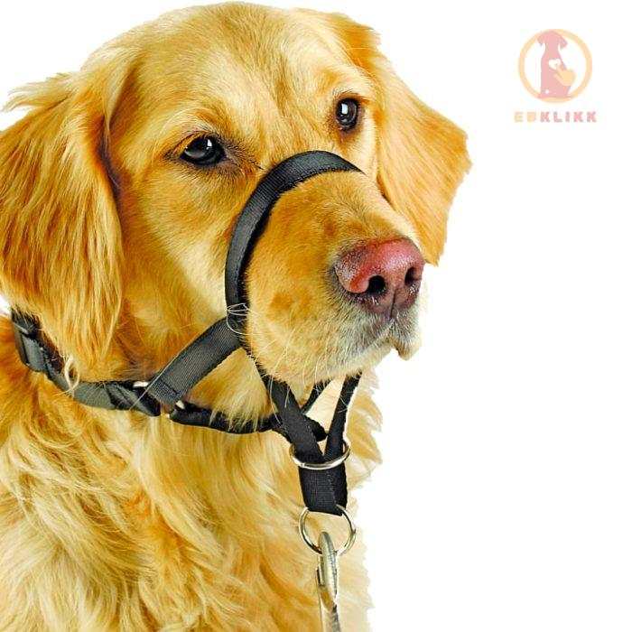 Trixie Top Trainer Szájszíj - Image 2
