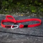 Ebklikk® SPORT póráz (120cm, 25mm) - 3. kép